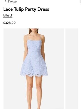 Elliatt Light Blue Lace Tulip Mini Dress